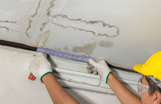 Reliable Mold Remediation contractor in Seekonk, MA by Water Damage Irwin